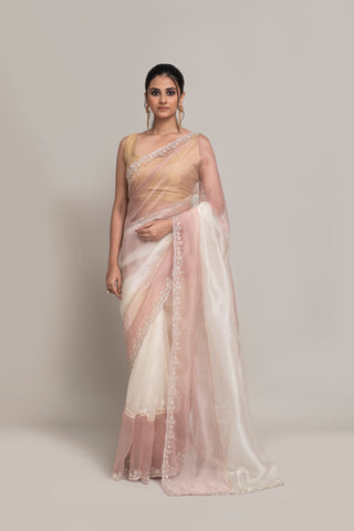 DualDreams Collection